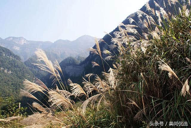 重庆金佛山景点