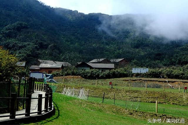 重庆金佛山景点