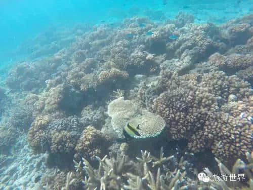 炫蓝斐济，与海相约的那一周