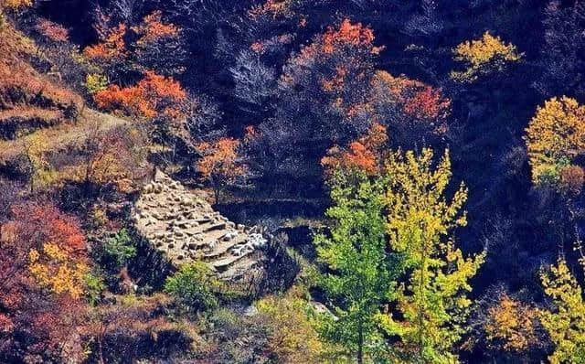 房山这个地方风景独好，而且还不要门票！