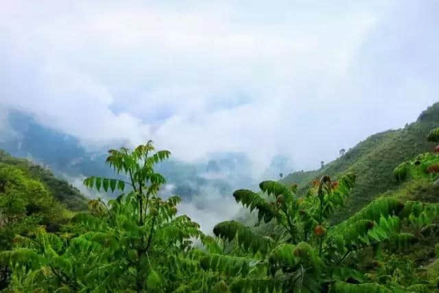 房山这个地方风景独好，而且还不要门票！