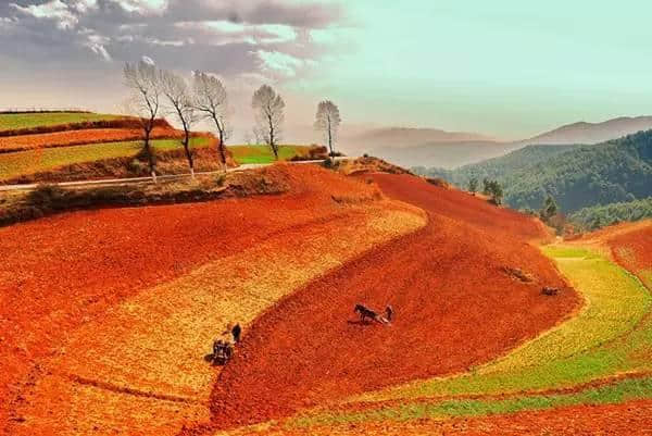 中国最美旅游高铁，横跨大半个中国，沿路美景、美食无数！攻略