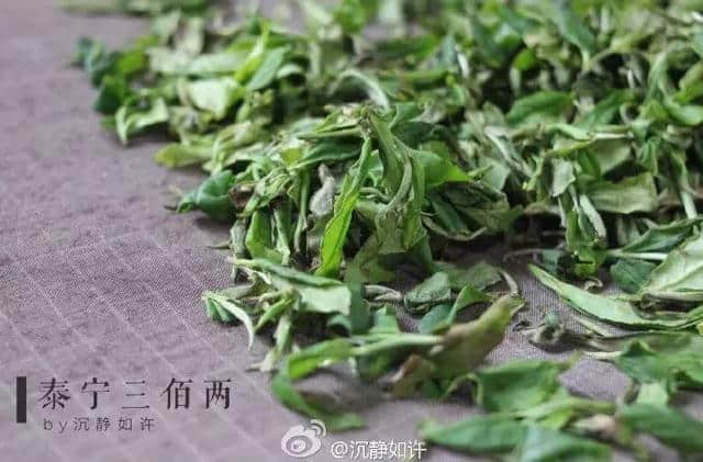 谷雨时节，赴泰宁寻味一抹岩茶香~