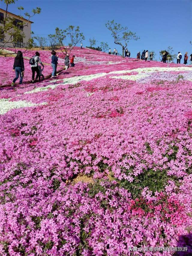 “一帘最美图,爱上雨花谷”——唐山迁西县雨花谷风景区