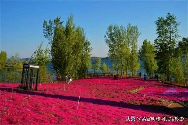 “一帘最美图,爱上雨花谷”——唐山迁西县雨花谷风景区