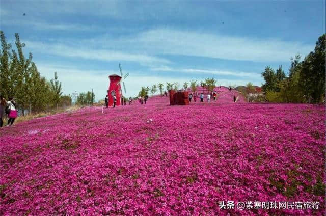 “一帘最美图,爱上雨花谷”——唐山迁西县雨花谷风景区