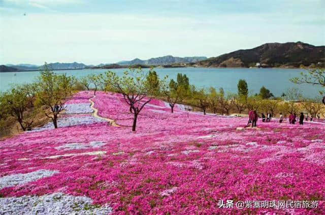 “一帘最美图,爱上雨花谷”——唐山迁西县雨花谷风景区