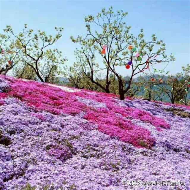 “一帘最美图,爱上雨花谷”——唐山迁西县雨花谷风景区