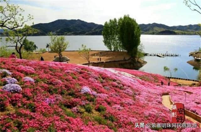 “一帘最美图,爱上雨花谷”——唐山迁西县雨花谷风景区