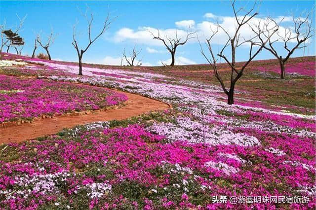 “一帘最美图,爱上雨花谷”——唐山迁西县雨花谷风景区