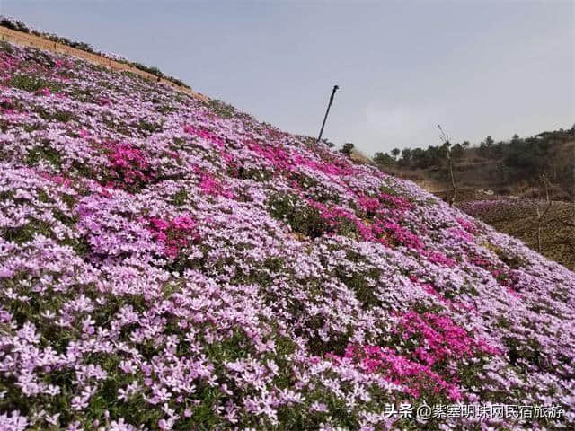 “一帘最美图,爱上雨花谷”——唐山迁西县雨花谷风景区