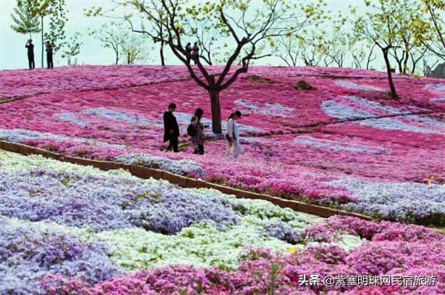 “一帘最美图,爱上雨花谷”——唐山迁西县雨花谷风景区