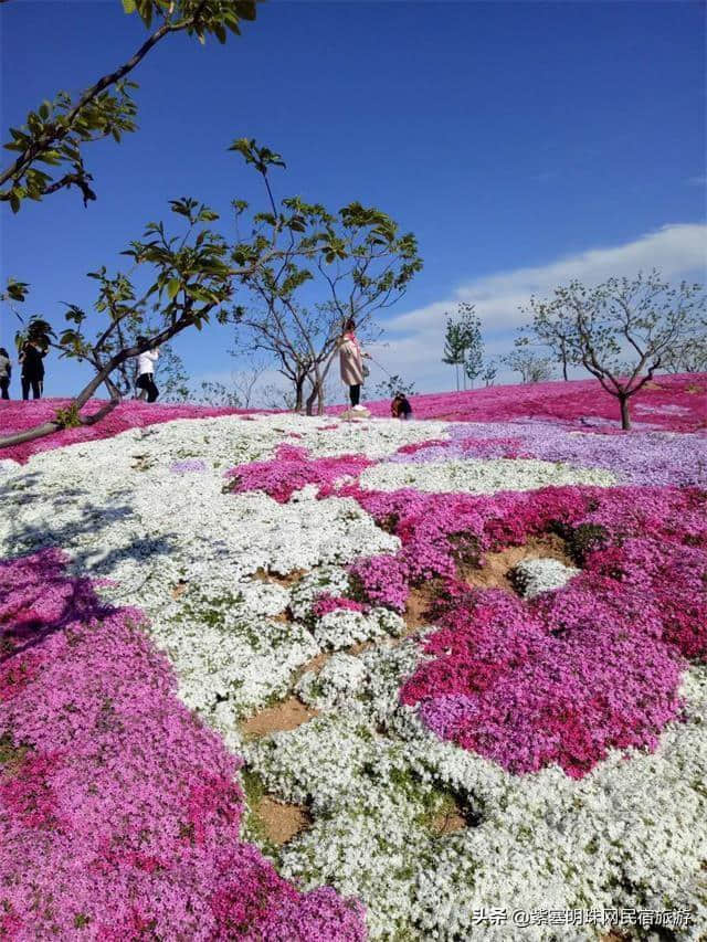 “一帘最美图,爱上雨花谷”——唐山迁西县雨花谷风景区