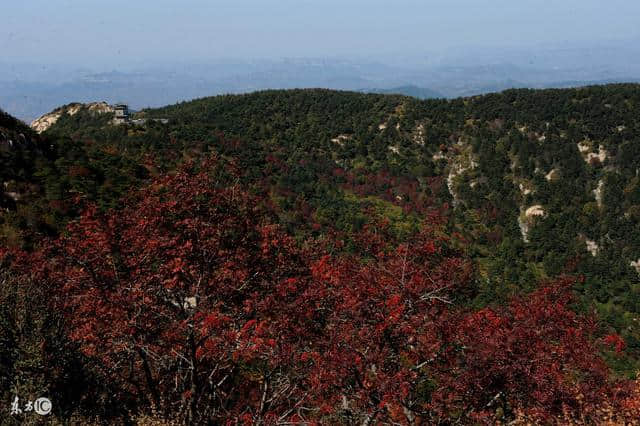 四条登山线路带你畅玩泰山，新手老手一起来，带娃金秋登泰山