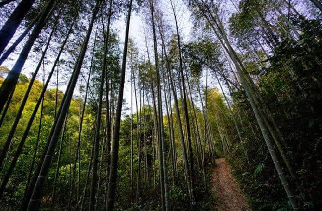 全球顶级度假村南昆山十字水1299两大一小套餐，“一览众山小”