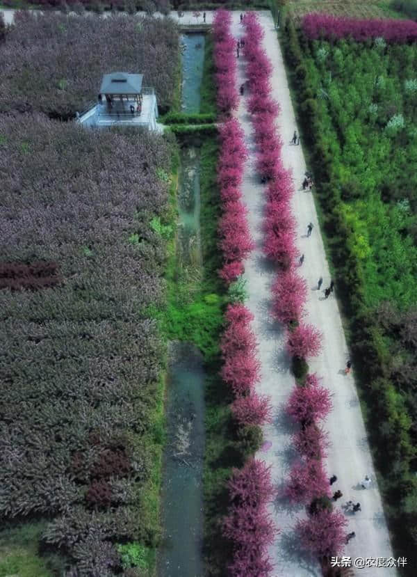 美丽乡村游：江苏省南京市浦口区，“夏纳凉”休闲之旅