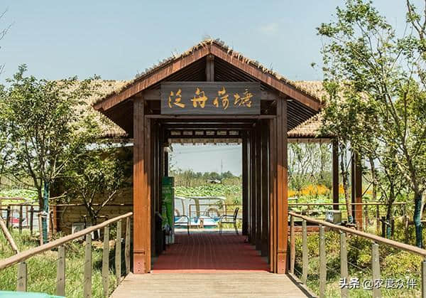 美丽乡村游：江苏省南京市浦口区，“夏纳凉”休闲之旅