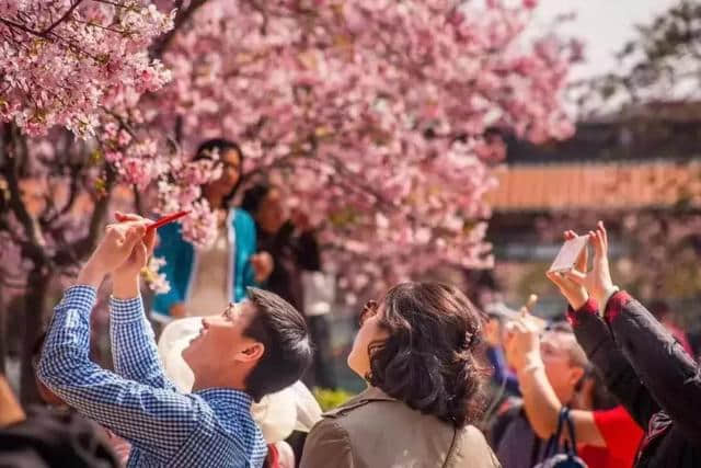 定了！“五一”放四天假！番禺这些“十佳”景区安排一下~