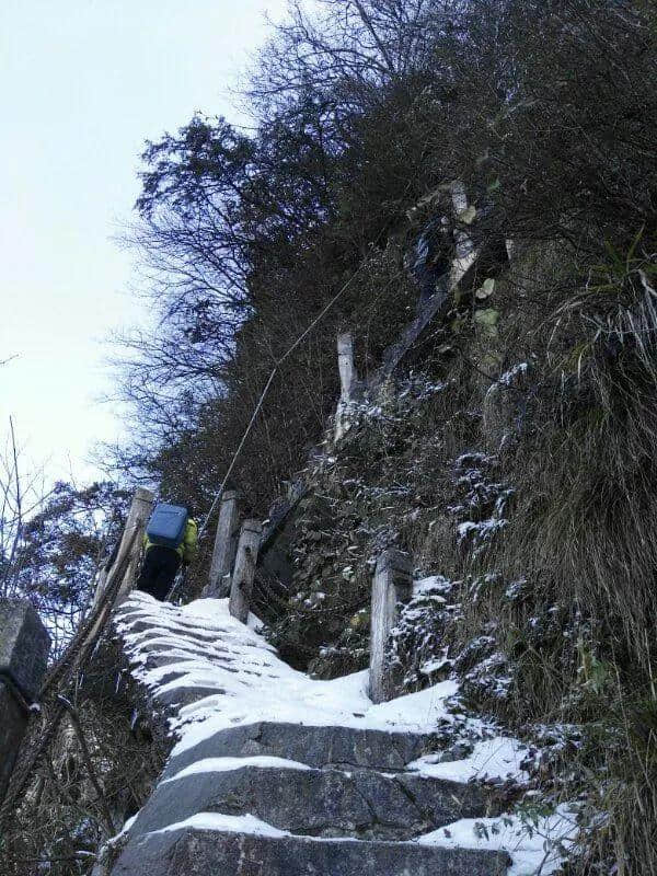 昨天！历时4月“停运检修”的金佛山西坡索道向游客开放