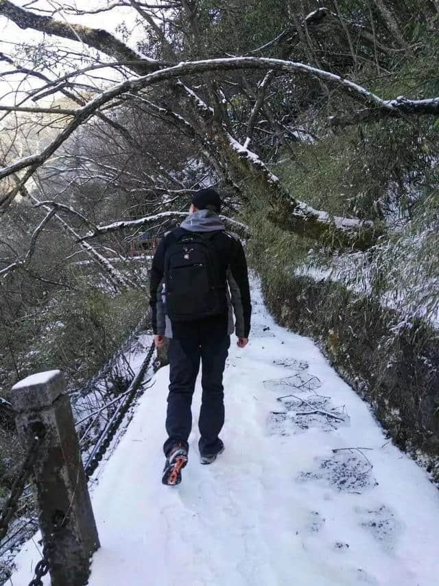 昨天！历时4月“停运检修”的金佛山西坡索道向游客开放