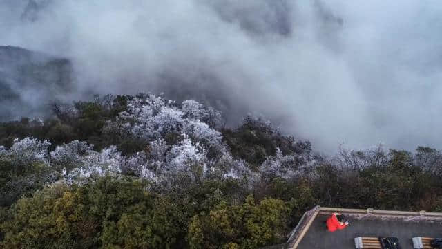 昨天！历时4月“停运检修”的金佛山西坡索道向游客开放