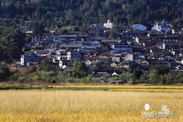 到腾冲旅游：银杏村应该怎么游玩？泡温泉该怎么选？