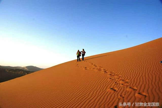 夏风吹至紫金花香｜7月9号金昌旅游专列梦幻启航！