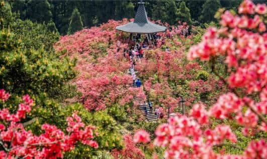 5月江浙最值得去的6个冷门旅行地，美如仙境，2小时直达！