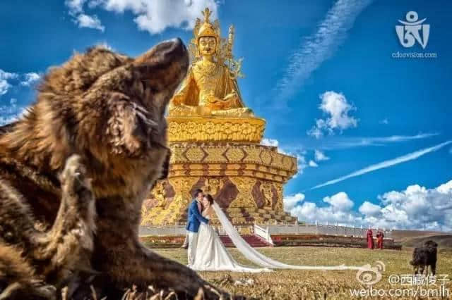 最适合旅行结婚的10个地方，走过8个我们就结婚！