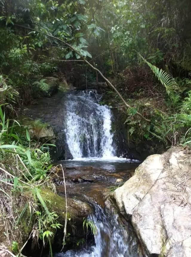 热热热热热！急需水水水水水！广西这些小众“水上天堂”，拿去不谢！