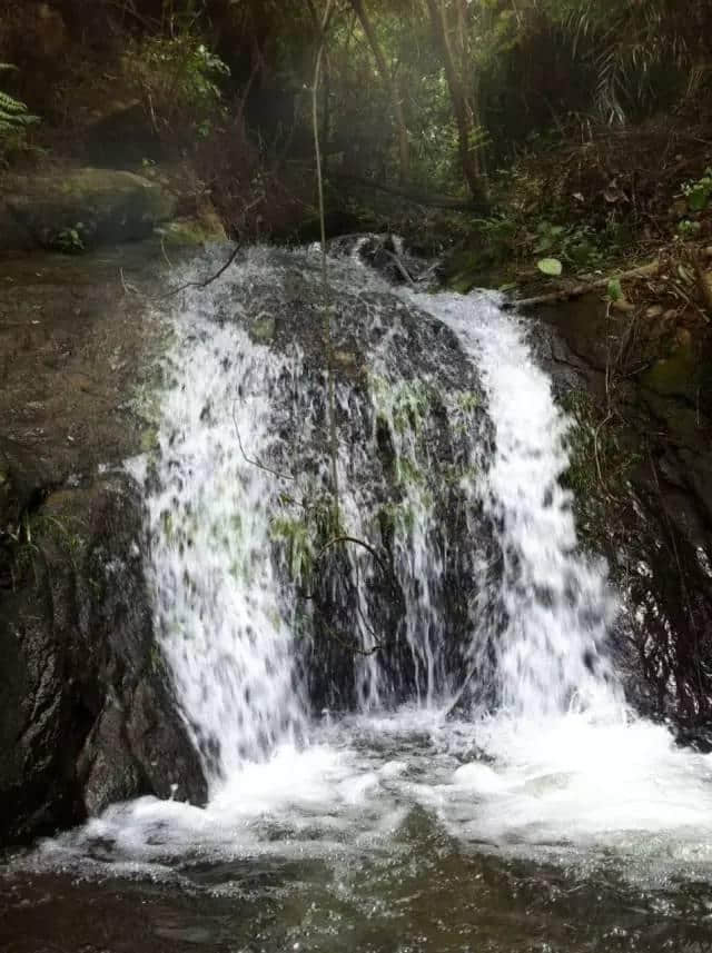 热热热热热！急需水水水水水！广西这些小众“水上天堂”，拿去不谢！