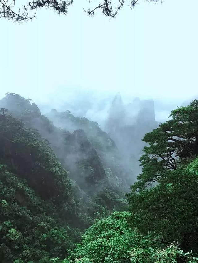 实至名归！三清山获评“江西避暑旅游目的地”