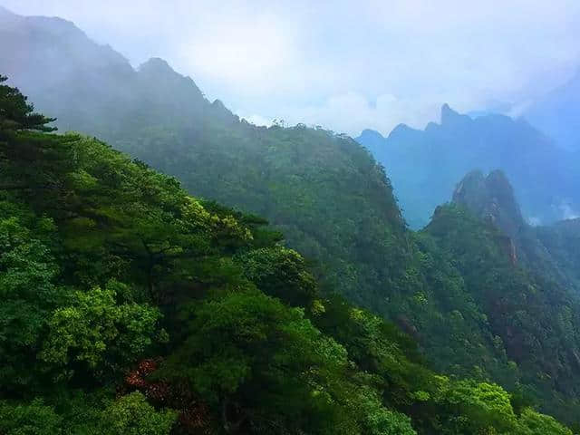 实至名归！三清山获评“江西避暑旅游目的地”