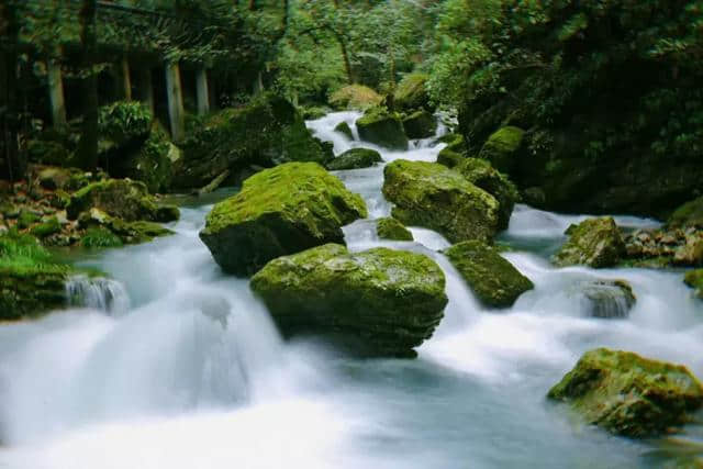 实至名归！三清山获评“江西避暑旅游目的地”