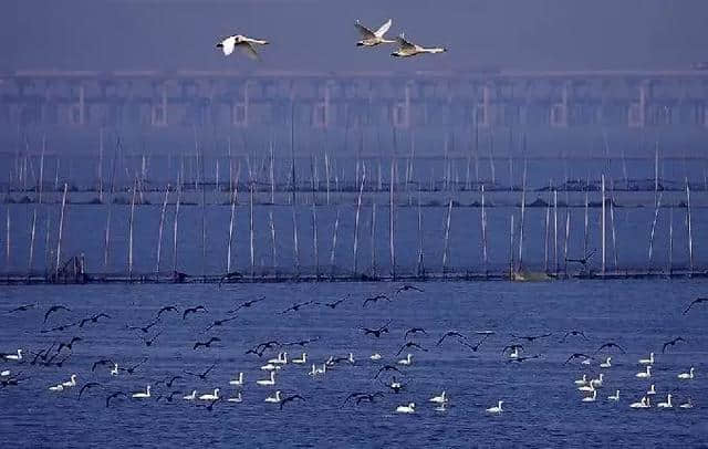 南京旅游攻略：南京新三大国家级景点，美到窒息！还免费！