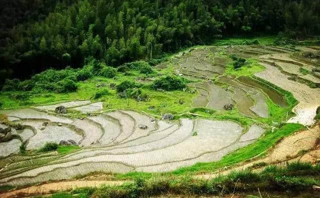 专属南雄情怀的《南山南》美丽的千年的梦，尽在梅岭