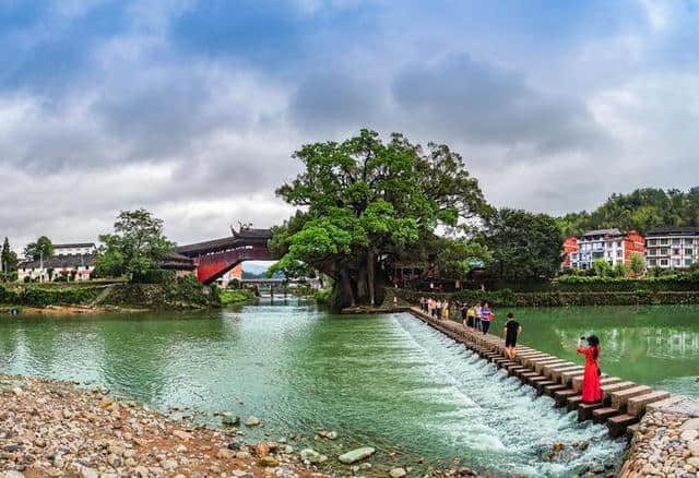 今起一个月 温州市民去泰顺享受半折旅游！