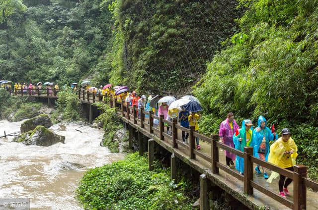 国内旅游：重庆“金佛山”——巴蜀四大名山之一