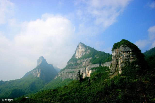 国内旅游：重庆“金佛山”——巴蜀四大名山之一