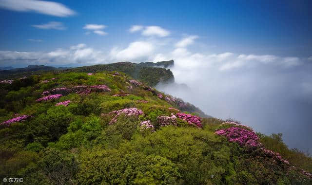 国内旅游：重庆“金佛山”——巴蜀四大名山之一