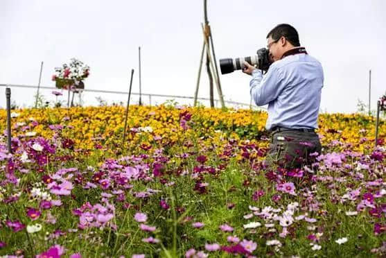 旅游｜4月坐火车去南雄，这几个地方绝对不容错过