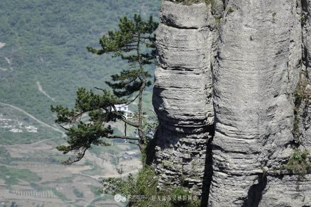 恩施大峡谷山美水美还有数不清的迎客松