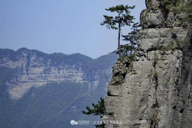 恩施大峡谷山美水美还有数不清的迎客松