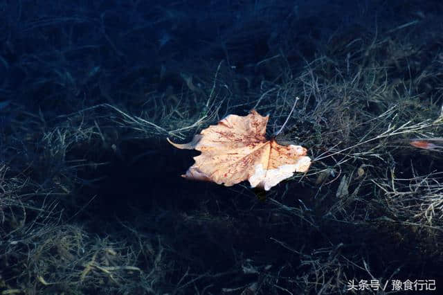 郑州地铁一号线变长了，到龙子湖体验大学区冬韵湖光