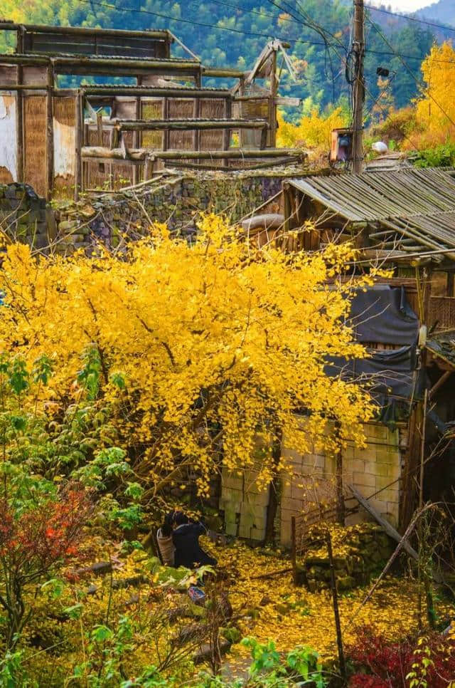 宁波及浙江周边11月最佳旅行目的地，人少又好看，值得细细品味