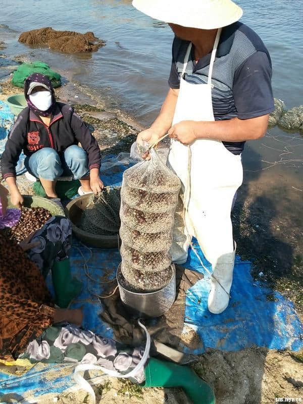 端午 东戴河 炎炎夏日 走进原生态海域东戴河止锚湾