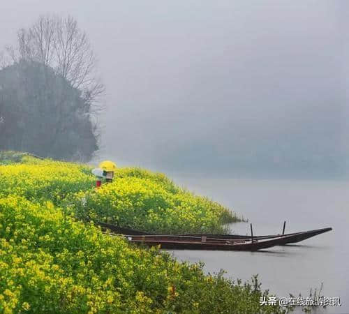 超强婺源旅游攻略，带你欣赏最美婺源油菜花！