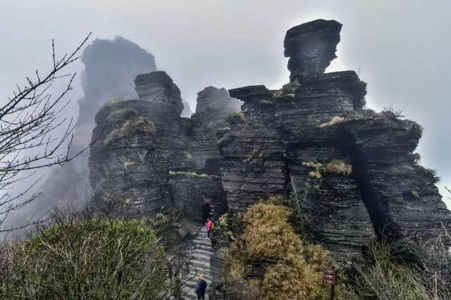 北京人为什么要去梵净山？