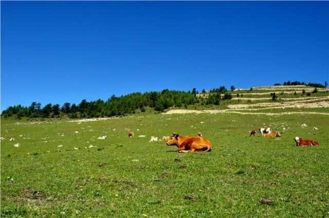 盘点周末太原人自驾最爱去的十个地方（附地图路线、美食推荐）