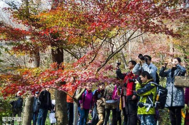 行走在南京：来南京必玩的五大景点！